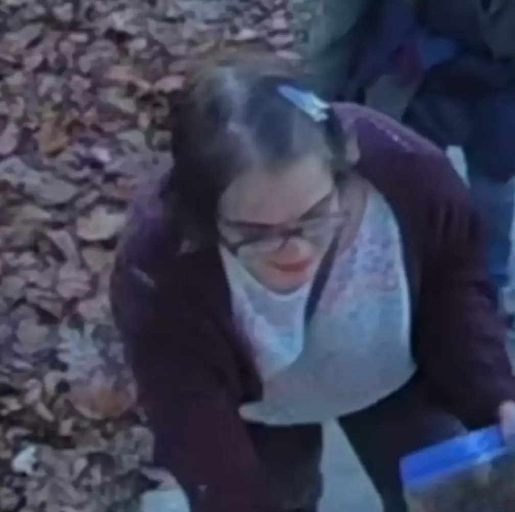 Morgan Geyser told police to 'just Google me' when they discovered her following the escape (Madison Police Department)