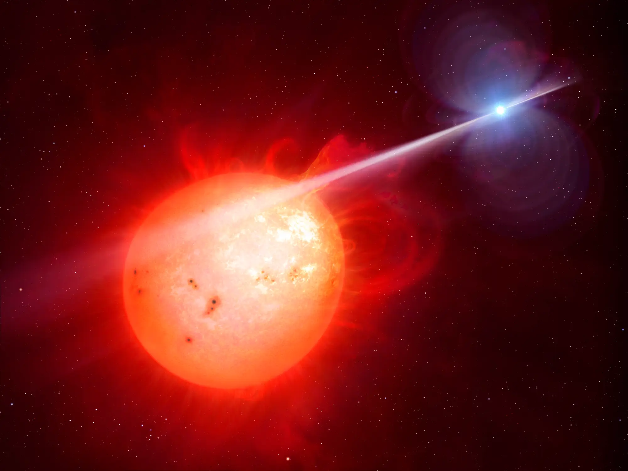 The white dwarf feeds on its red dwarf companion, giving it the 'vampire' nickname (MARK GARLICK/SCIENCE PHOTO LIBRARY/Getty)