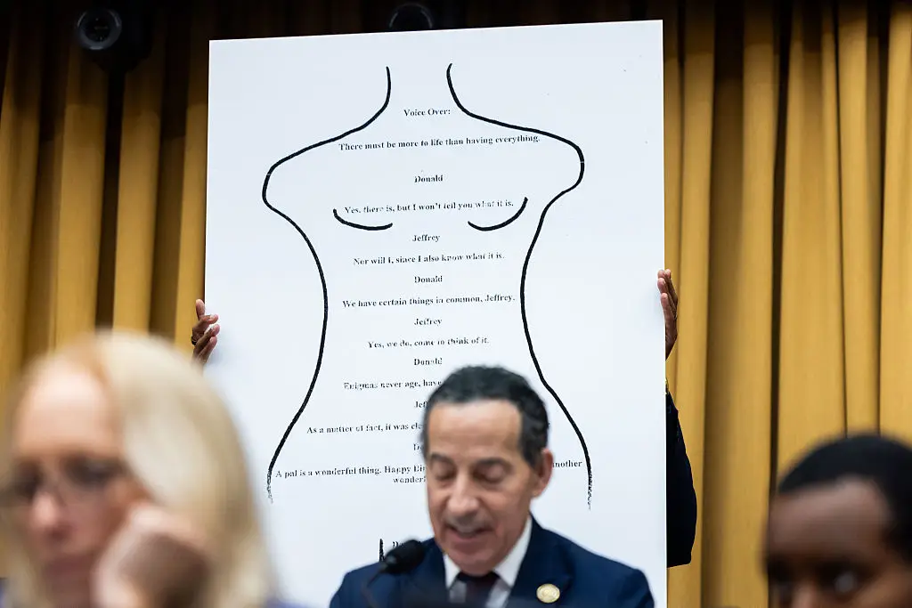 Raskin maintains that President Trump appears in the files 'millions' of times (Anadolu / Contributor / Getty)