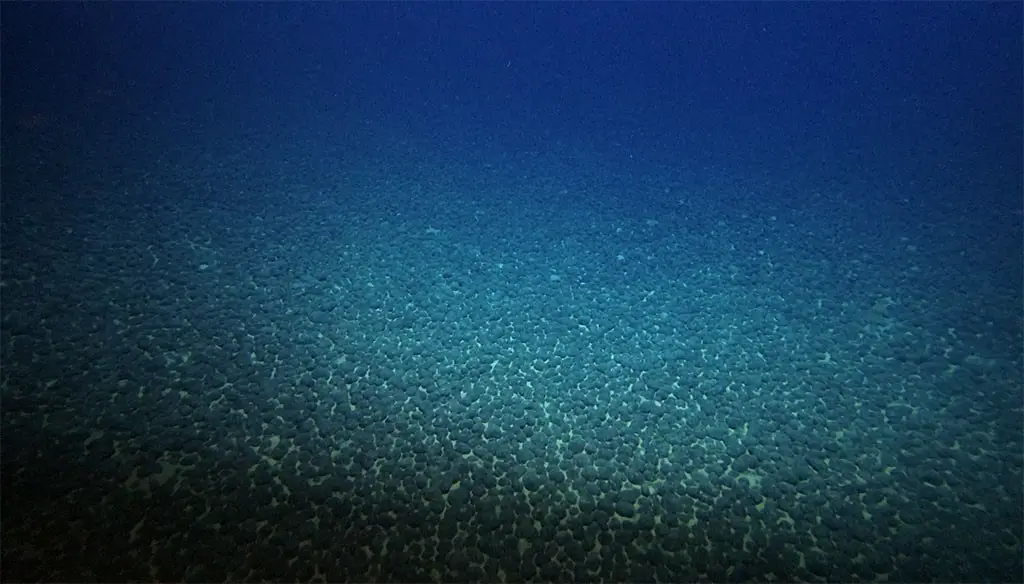 There worries about the environmental impact of mining these deposits (The Nippon Foundation)