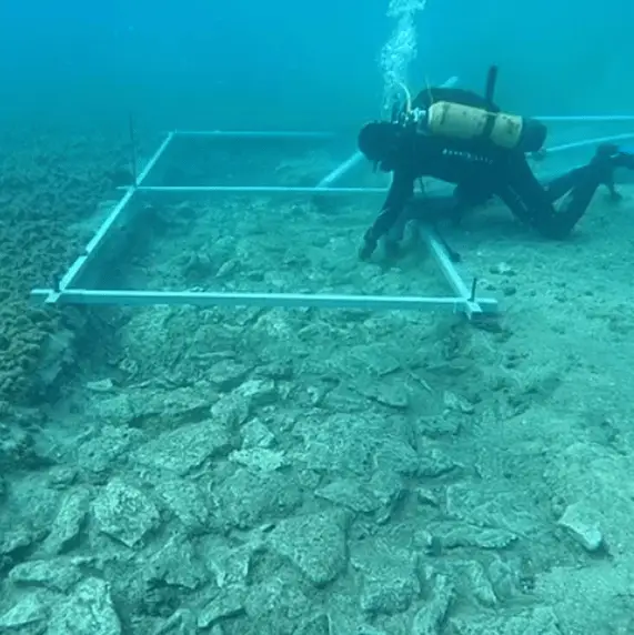 Scientists make shocking discovery within 7,000-year-old underwater city that defies expectations