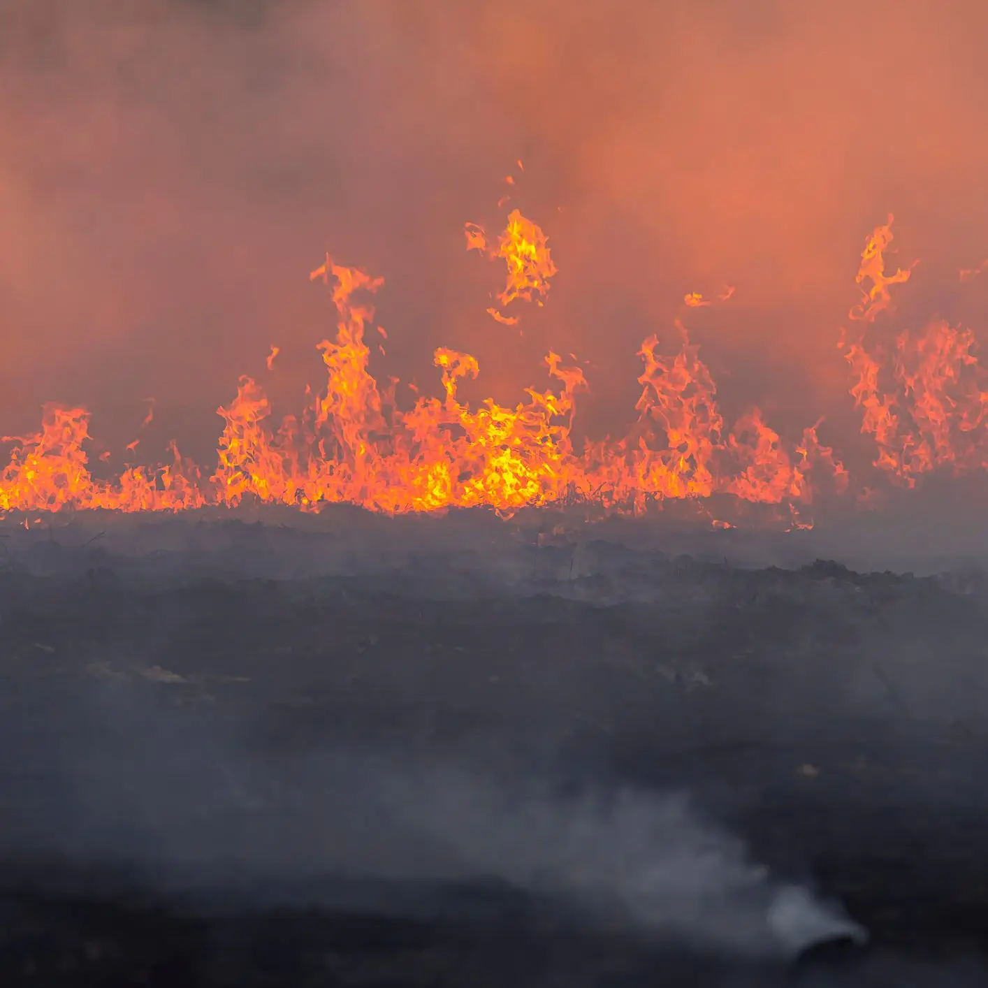 chuchart duangdaw / Getty