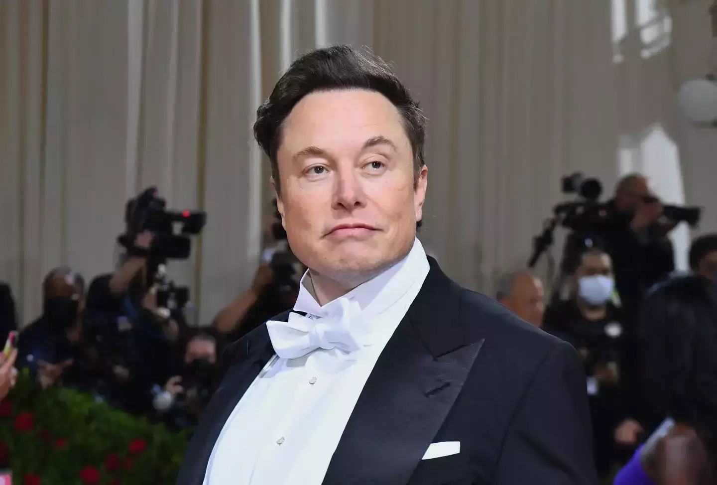 Elon Musk has told people not to donate to Wikipedia (ANGELA WEISS/Getty Images)