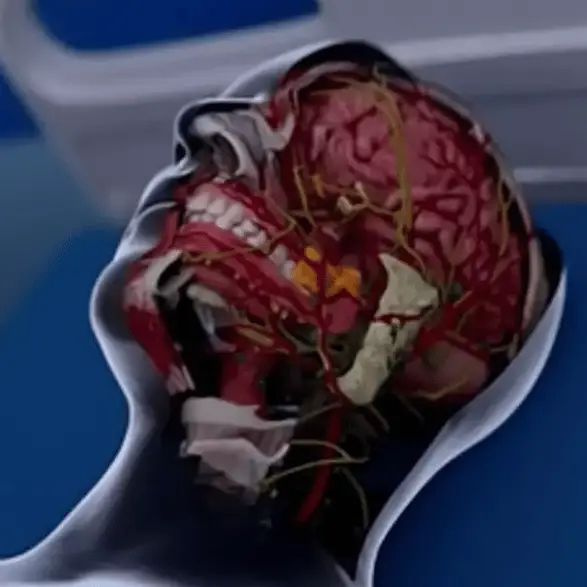 Jaw-dropping simulation shows what happens to our brains within 10 minutes of dying