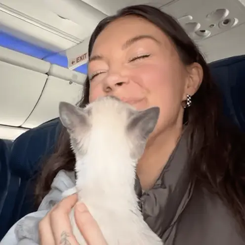 @‌through.the.lleaves/Instagram