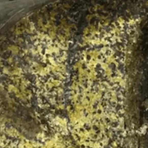 Scientists make groundbreaking discovery inside 2,000,000,000-year-old stone that was far from what they imagined