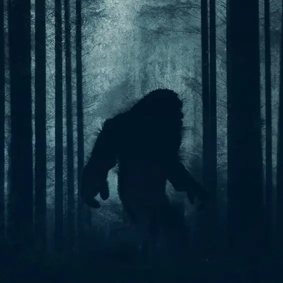 David Wall/pabradyphoto/Getty