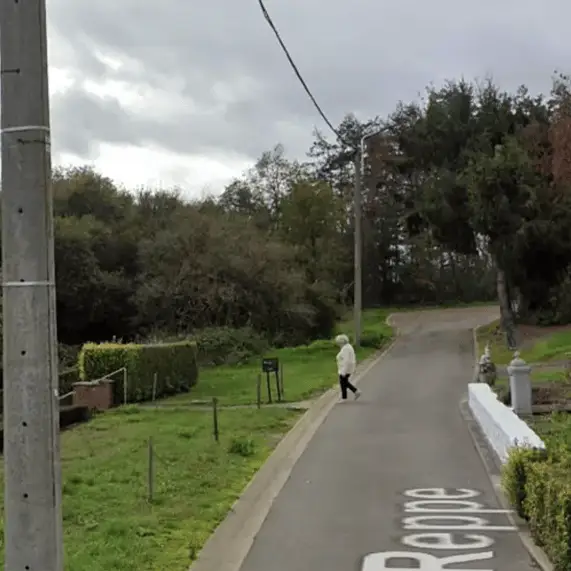 Haunting Google Maps image helped solve mystery of missing woman who vanished from her home without a trace two years ago