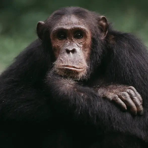 John Giustina / Westend61 / Getty