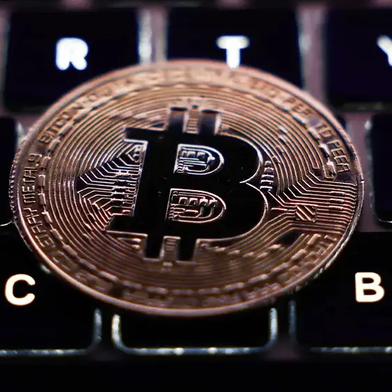 Bitcoin skyrockets above record $81,000 while Elon Musk warns of ‘financial emergency’