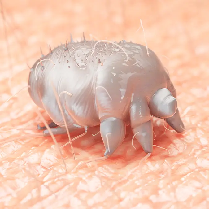 SCIEPRO/SCIENCE PHOTO LIBRARY via Getty