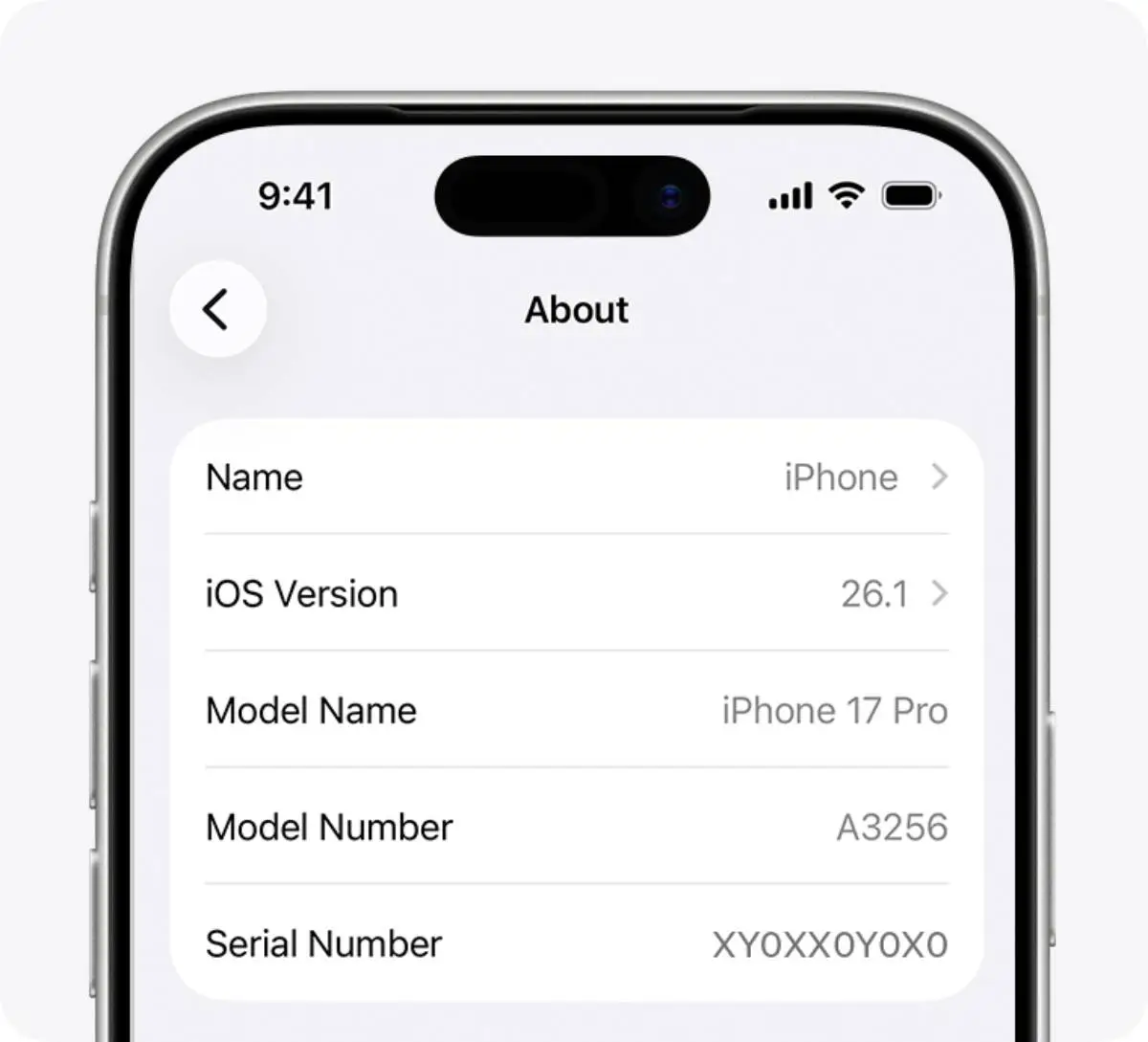 Finding your iPhone's serial number is easy (Apple)