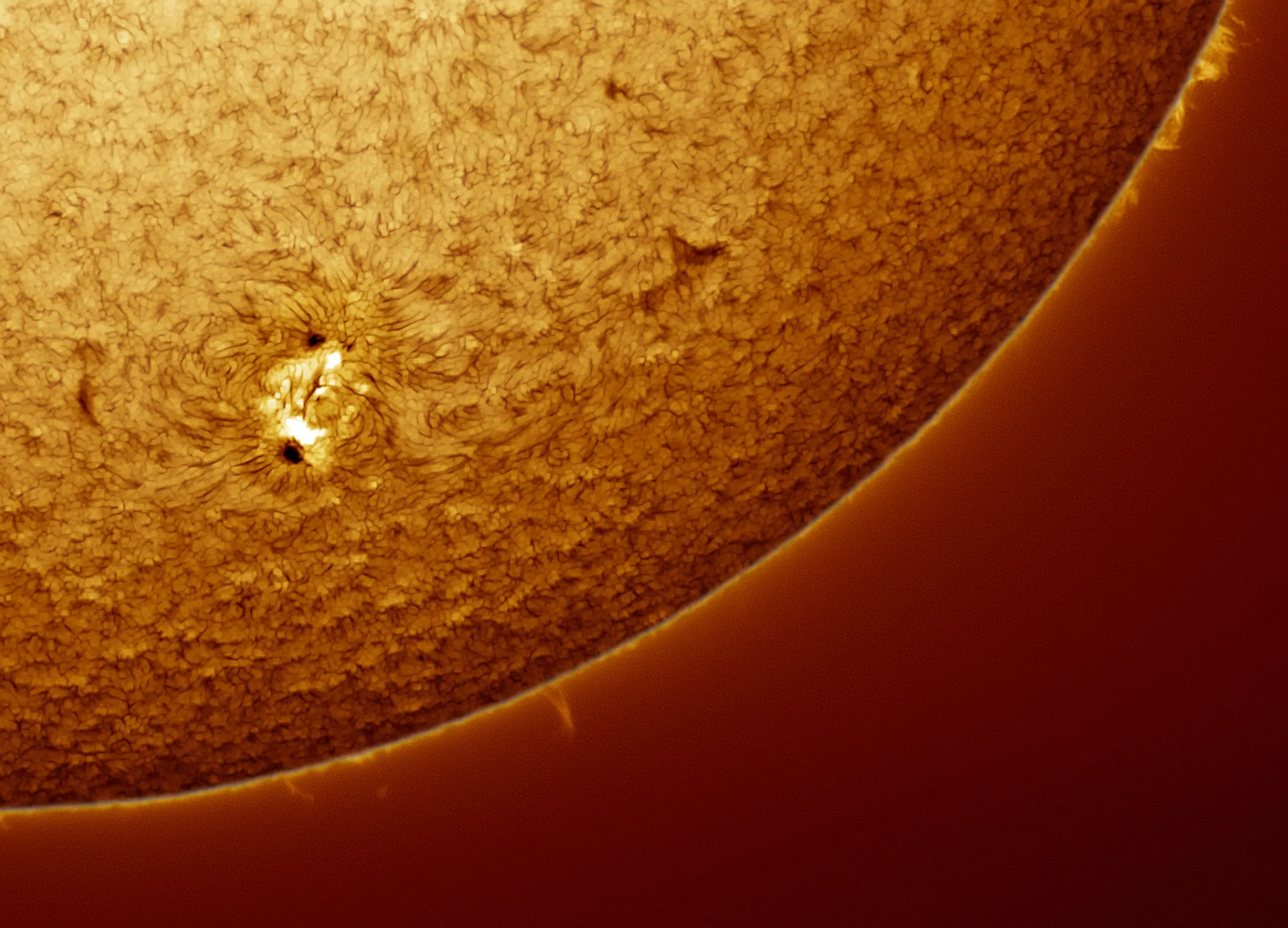 Cameran Ashraf / Getty