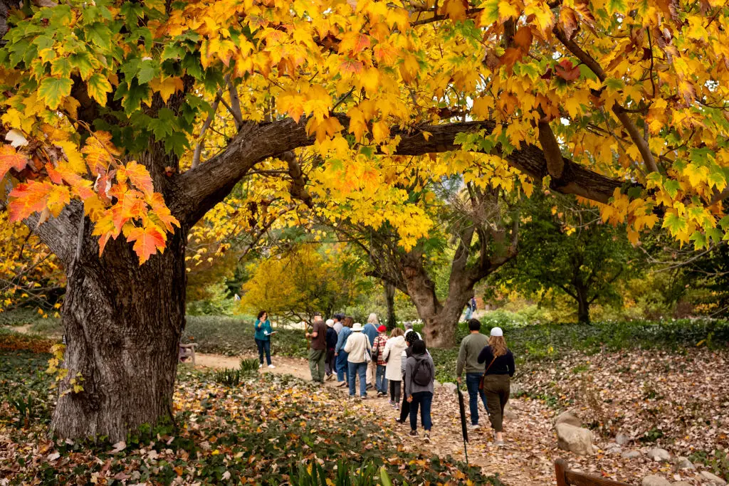 Using this AI taxi to get around attractions like this would be ideal for many (David Crane/MediaNews Group/Los Angeles Daily News via Getty Images)
