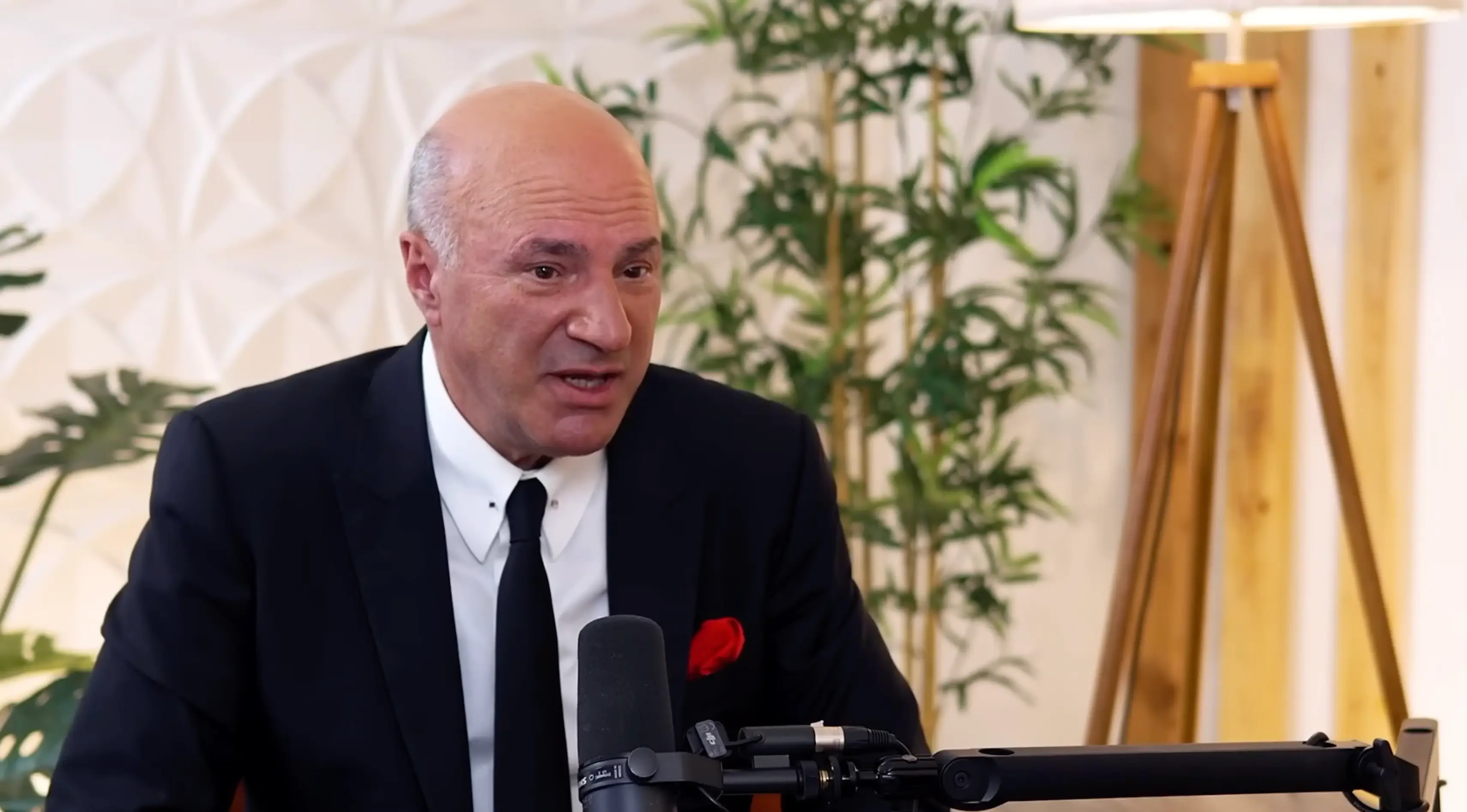 While the businessman said he loves wine, he also warned drinking too close to bedtime can ruin your sleep (YouTube/@youngandprofiting)