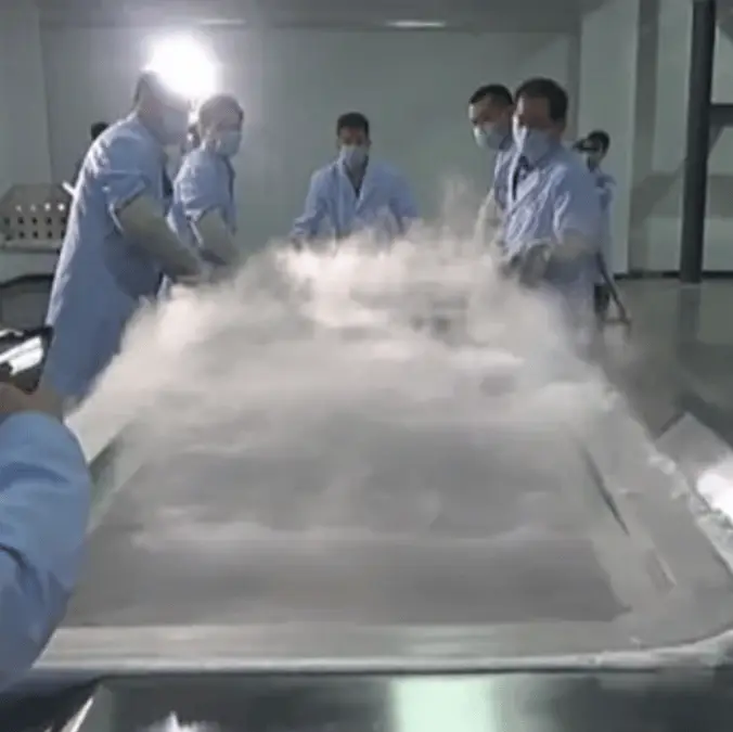 Yinfeng Biological Group