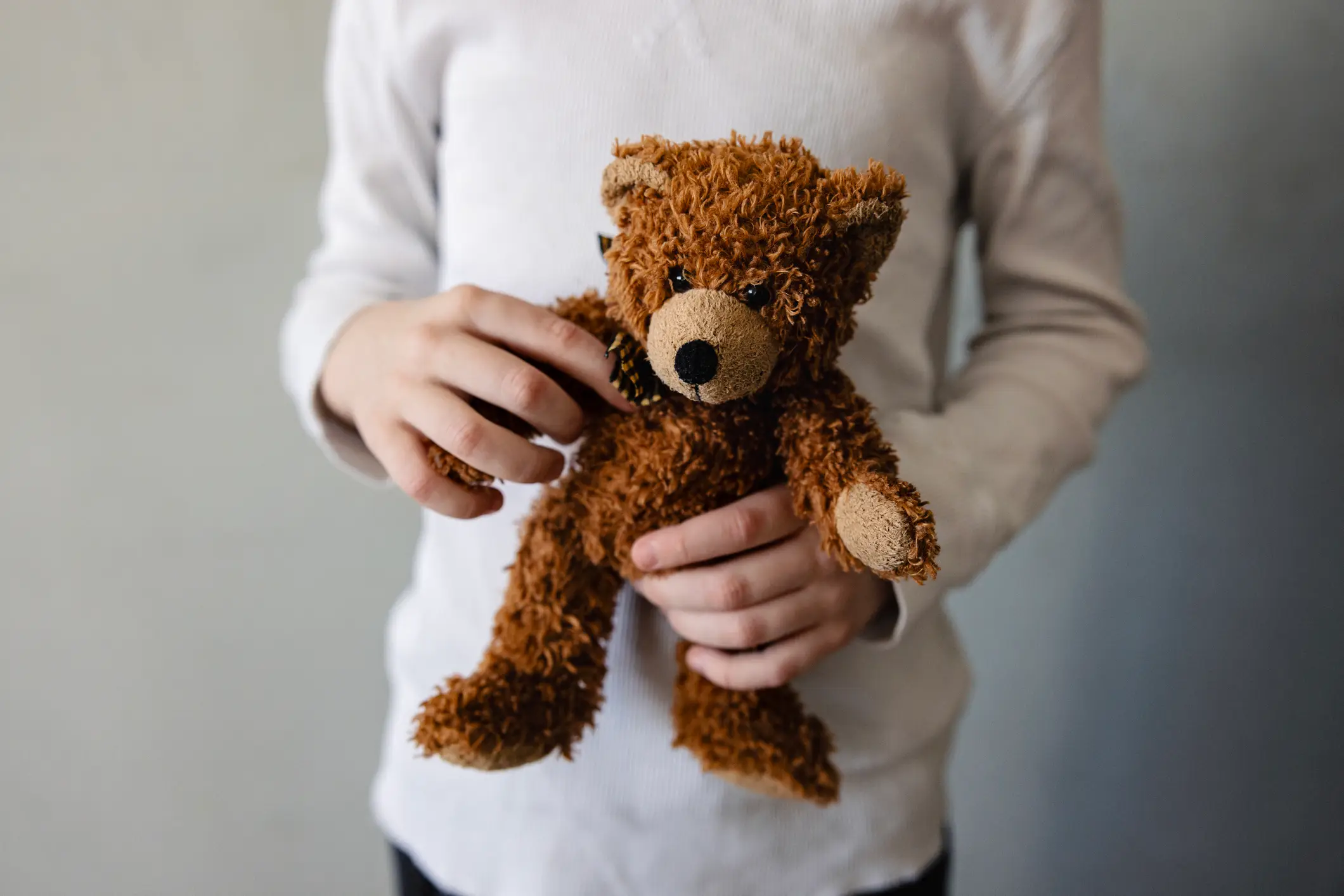One toy used in the investigation was an AI-enabled teddy bear, which has since been pulled from shelves (mrs/Getty Images)