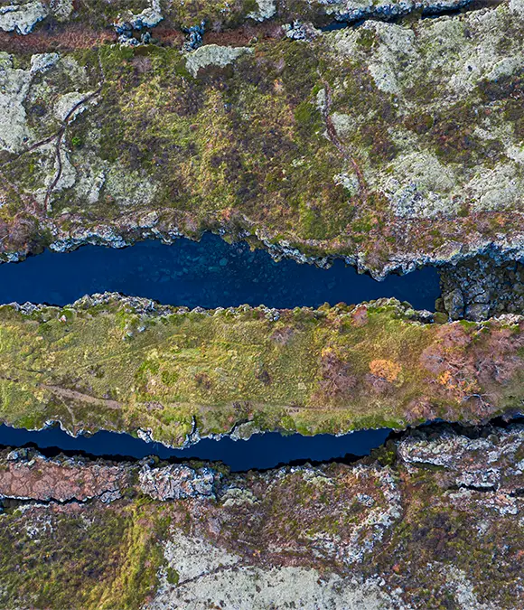 Arctic-Images / Getty