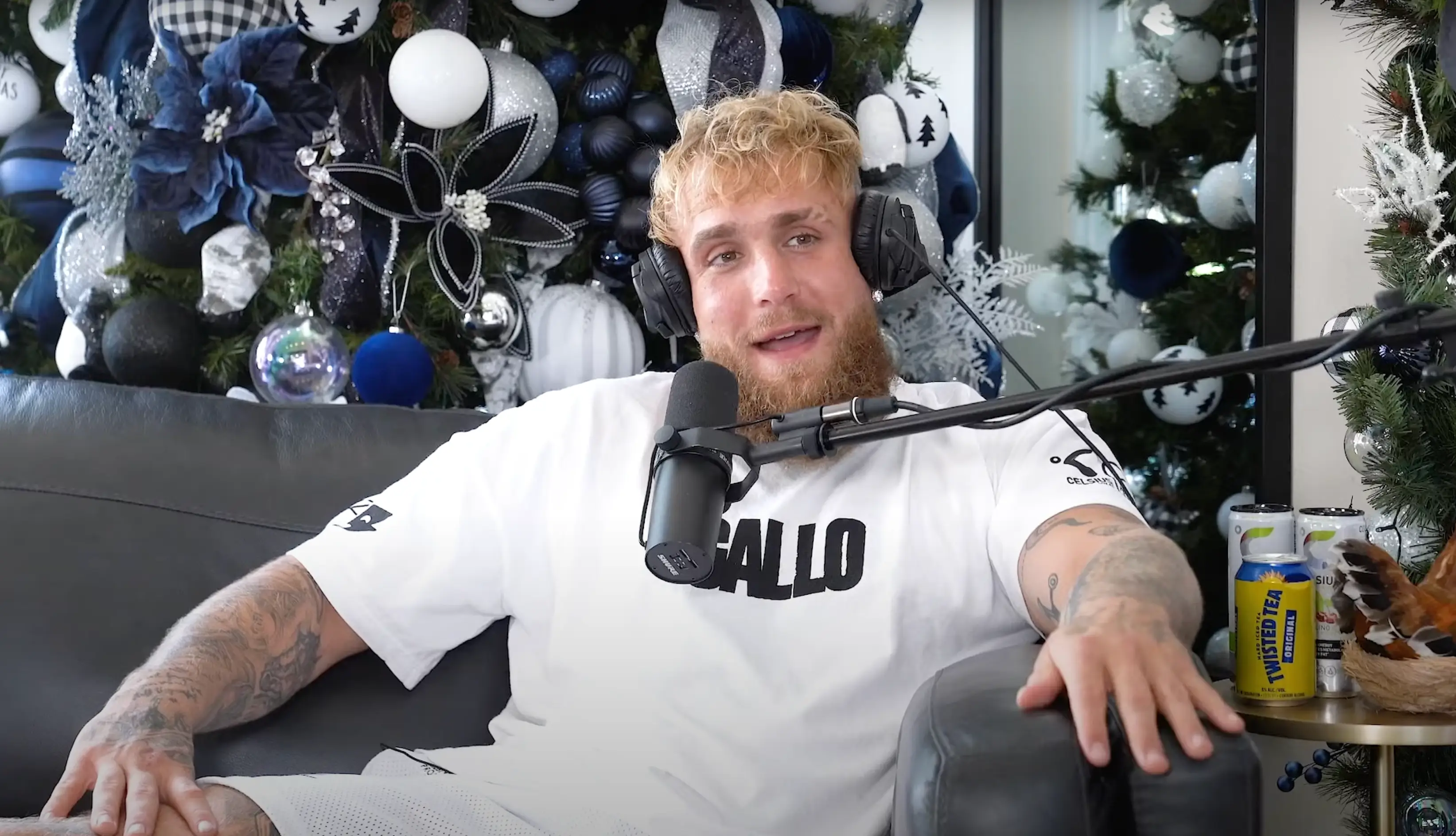 The YouTuber shared details about the FBI raid on his house (YouTube/@Impaulsive)