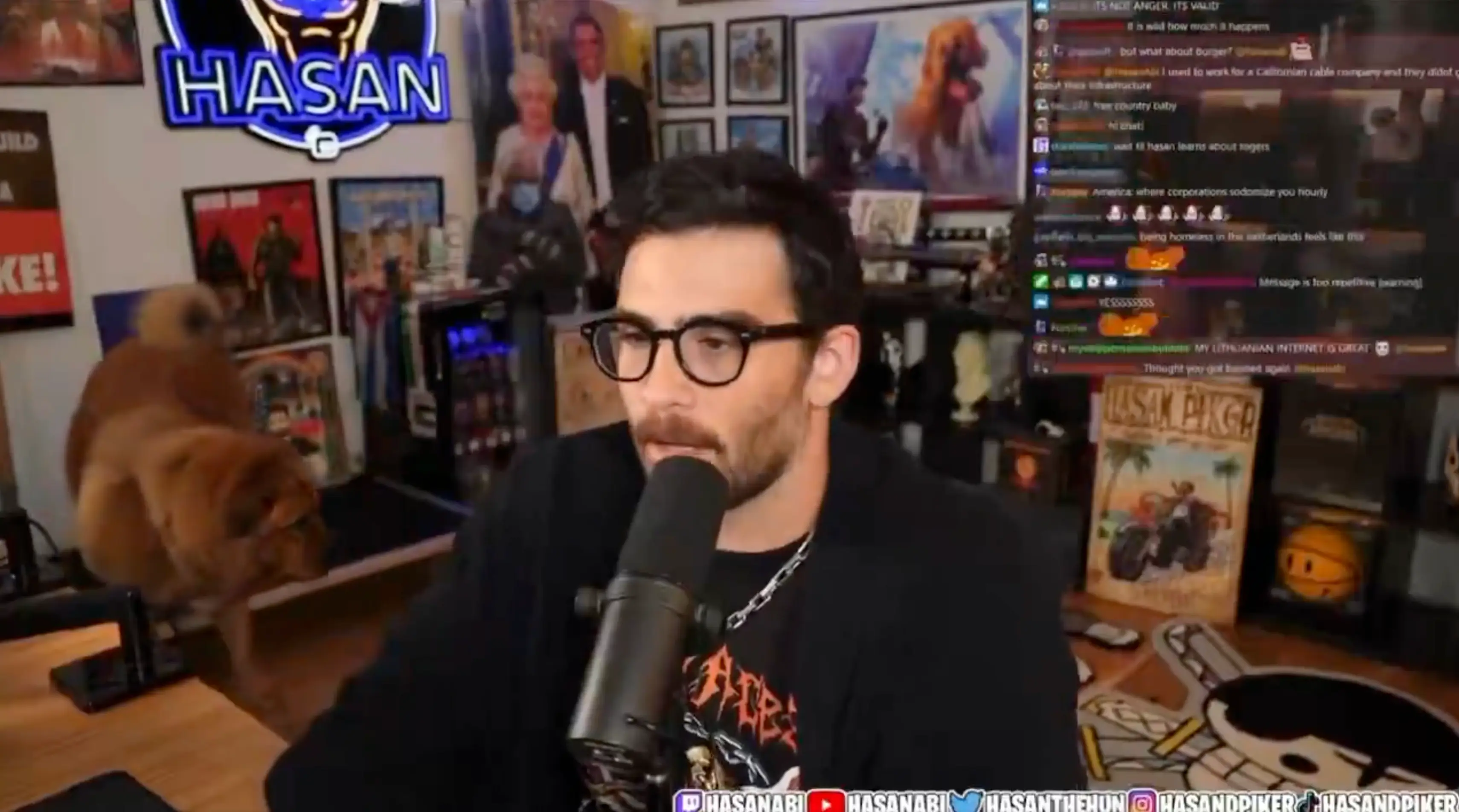Hasan Piker often streams with his dog Kaya in the background (Twitch/HasanAbi)