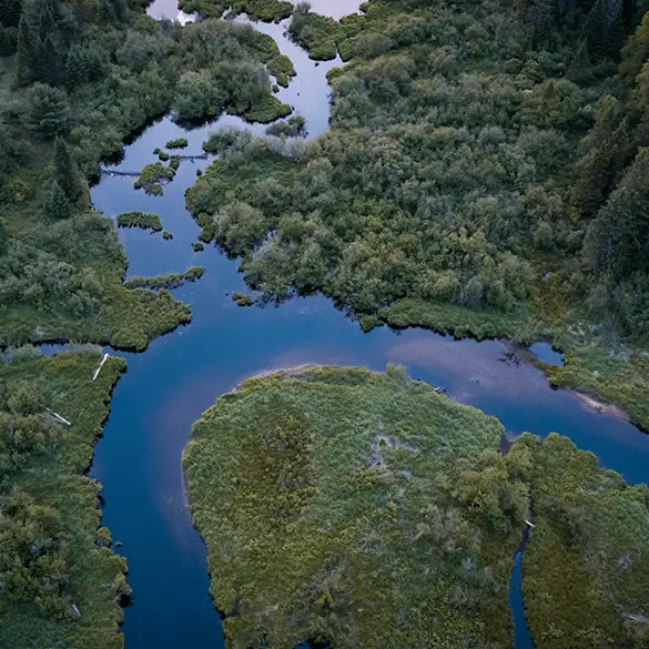 ©Cyrielle Beaubois/Thomas Fricke / Getty