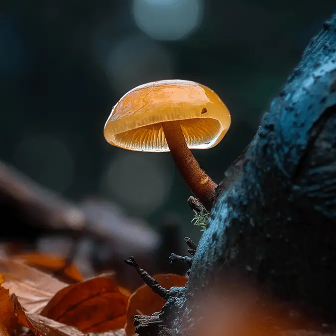 Joost van de Brake / 500px via Getty