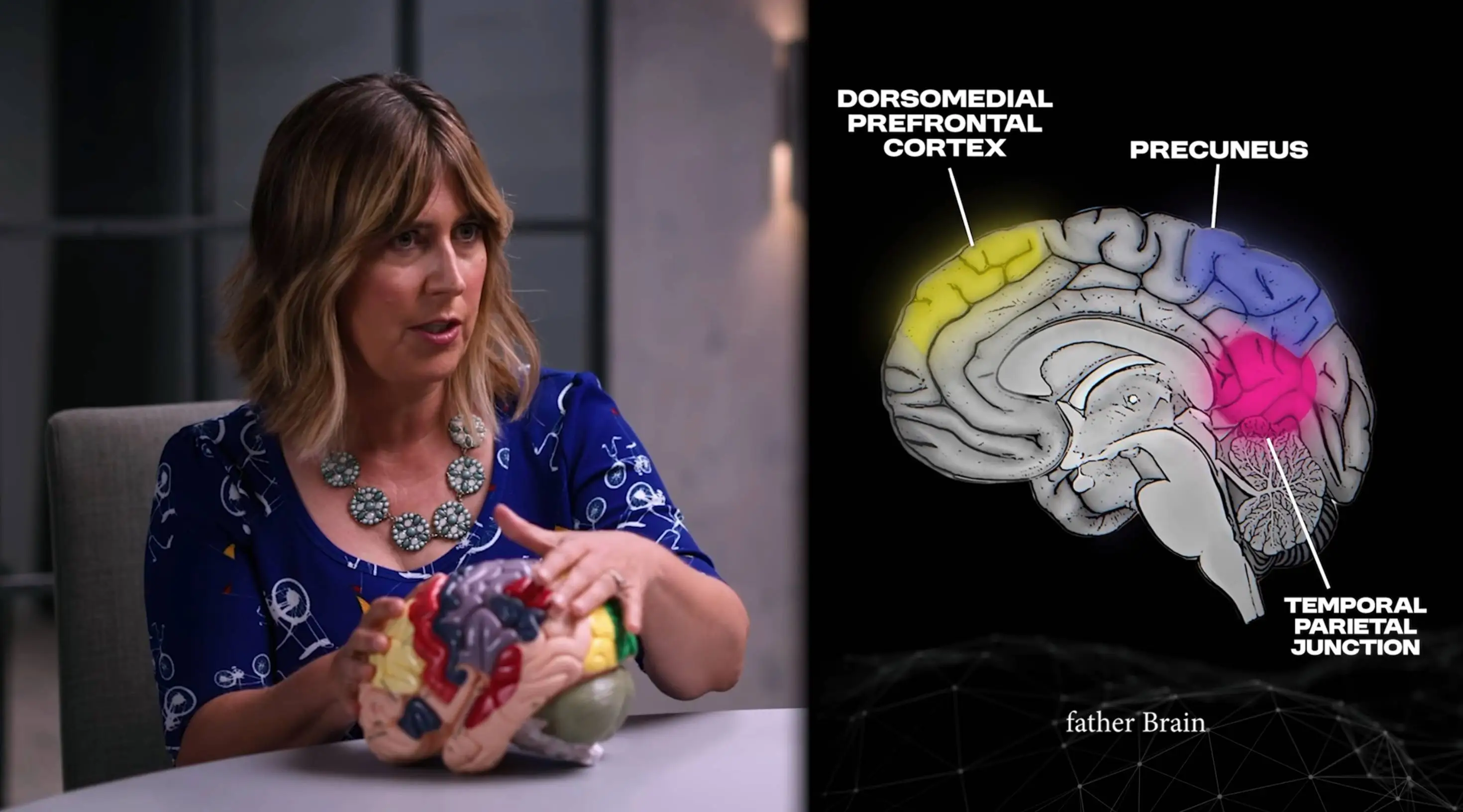 Dr Darby Saxbe has noted shrinking brain volume in new father (YouTube / Diary of CEO)