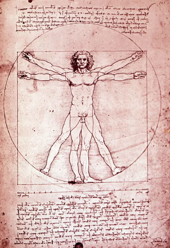 The Vitruvian Man has baffled people since 1490 (Universal History Archive / Contributor / Getty)