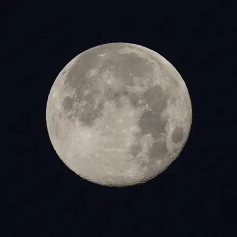 @‌dfuji1 / Twitter / sandra standbridge / Getty