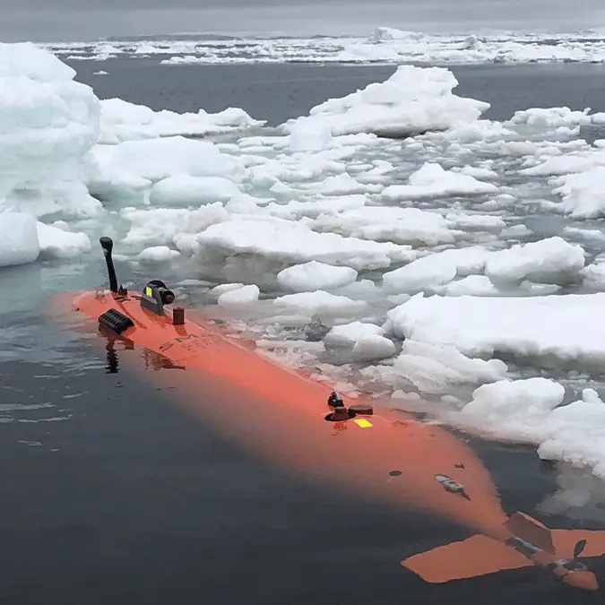 Filip Stedt/ University of Gothenburg