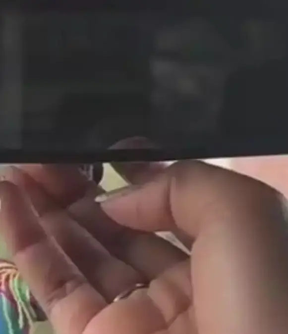 The TikTok clip has gone viral / TikTok/@everythingbrooklyn