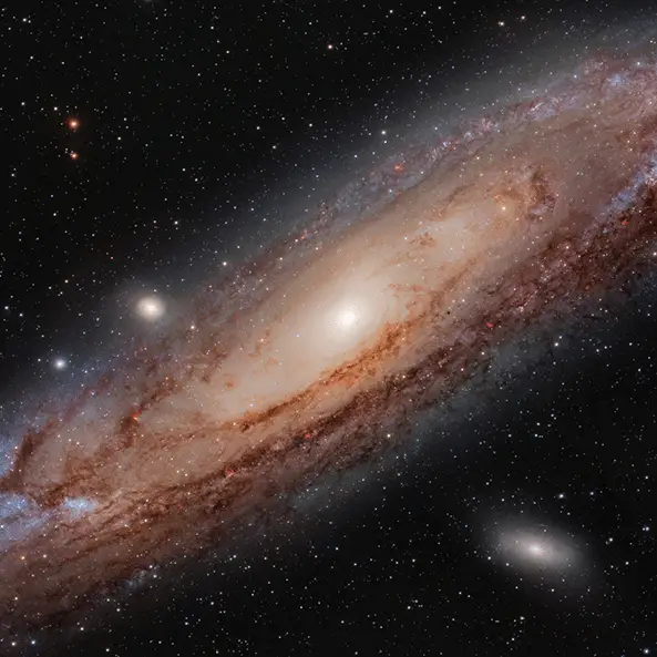 Westend61/Julian Ward/Getty Images