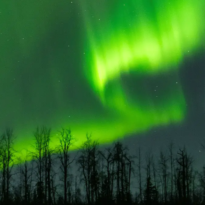 Anadolu / Contributor via Getty