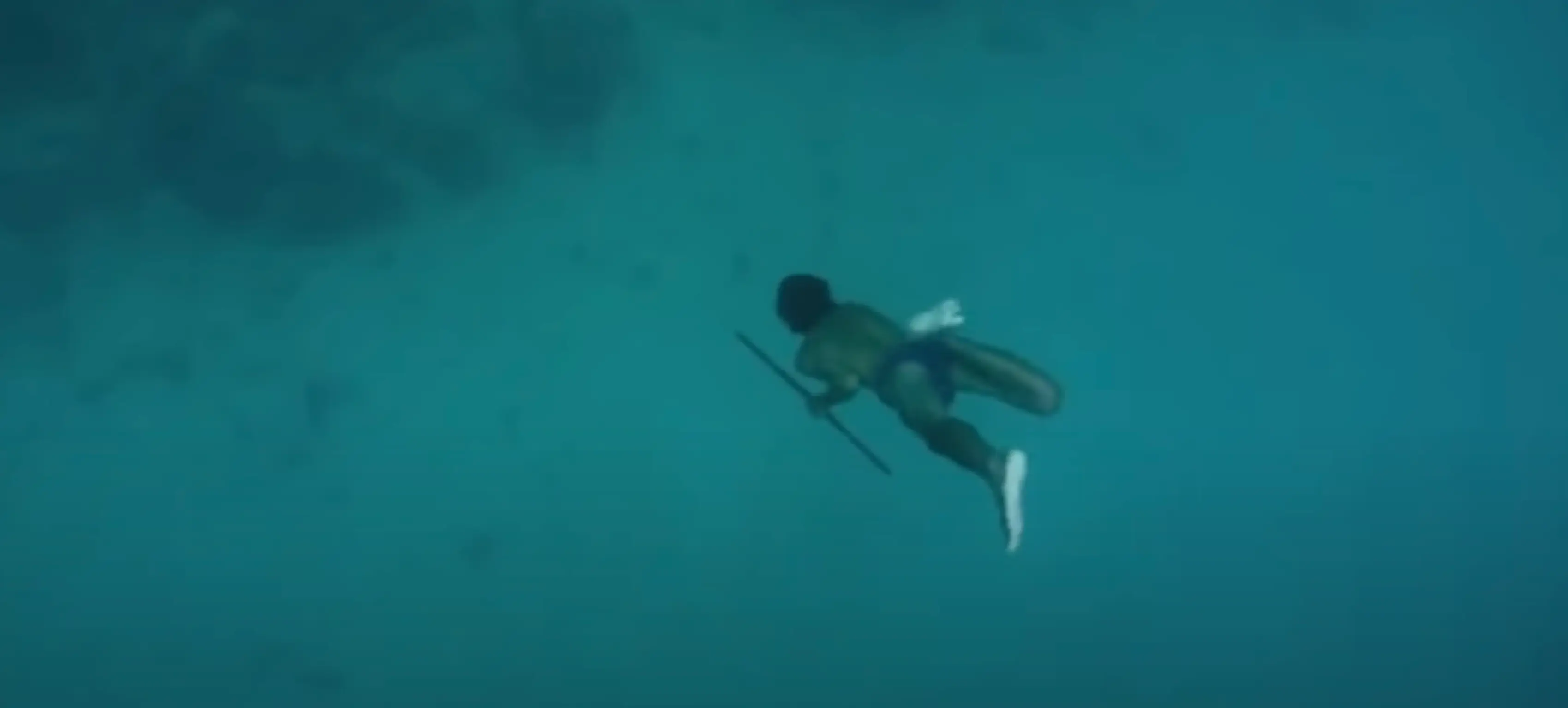 The tribe have unusually large spleens that enable them to stay submerged for long periods of time (BBC)