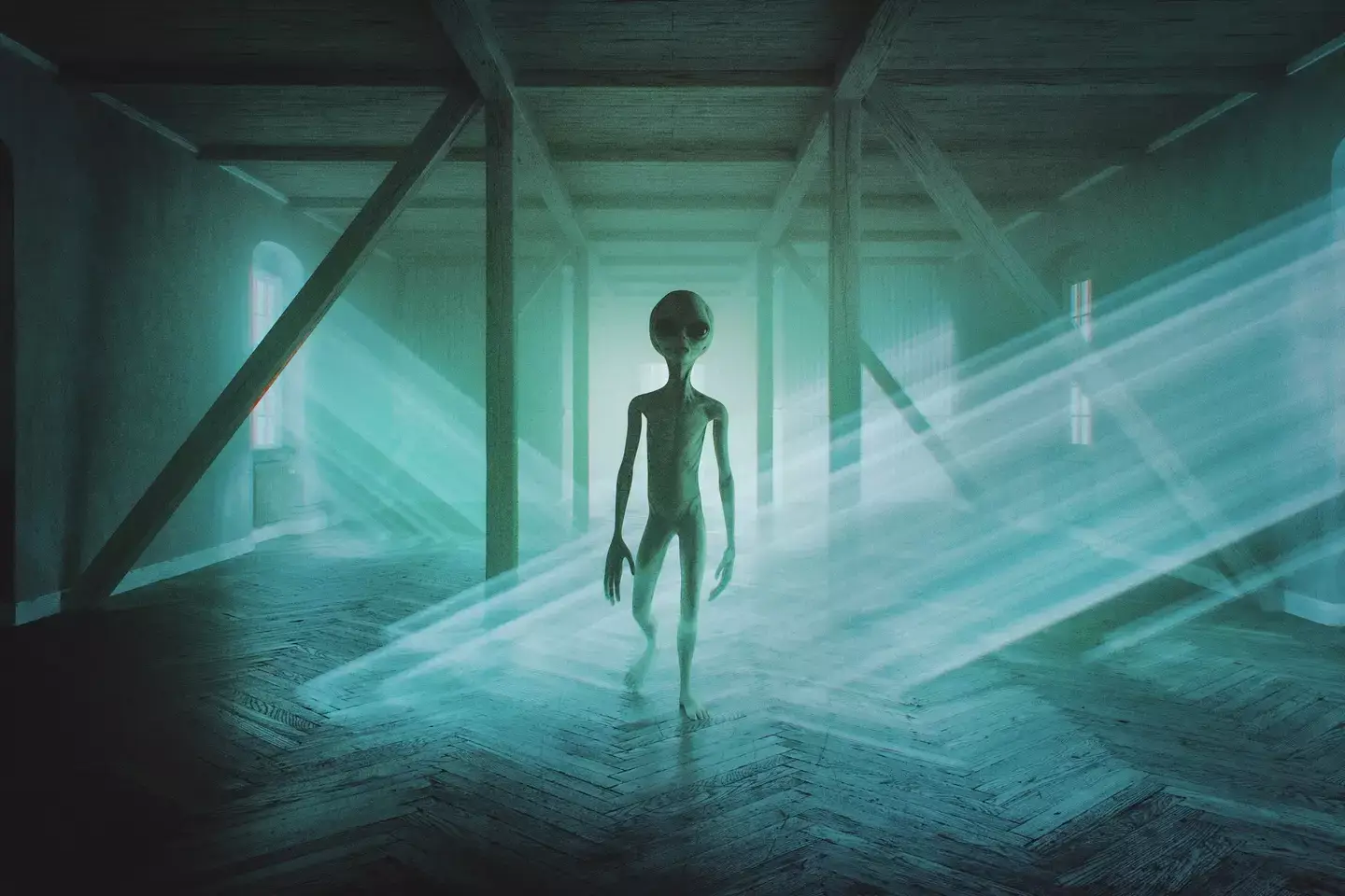 The documentary was made in secret over two years (gremlin/Getty Images)