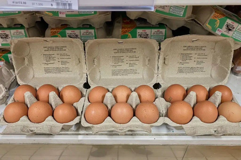 Egg prices have risen dramatically in America following a major bird flu outbreak in 2022 (Matteo Della Torre/NurPhoto via Getty Images)