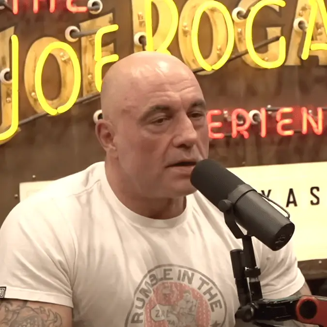 Elon Musk teases 'spicy' episode of Joe Rogan's podcast which is landing 'imminently'