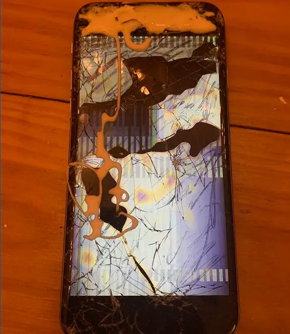 Dinonuggetenjoyer/Reddit