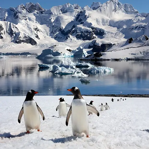 ‘One-In-A-2000-Year Event’ is taking place in the Antarctic and humans are likely to blame