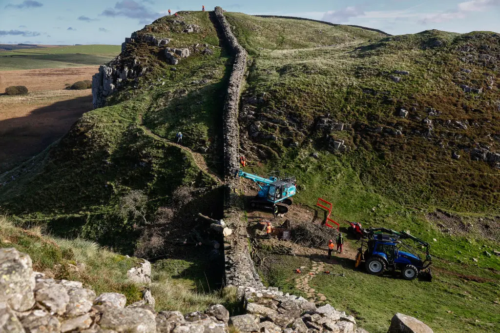 There are high hopes a new Sycamore Gap tree will soon take its place (Jeff J Mitchell / Staff / Getty)