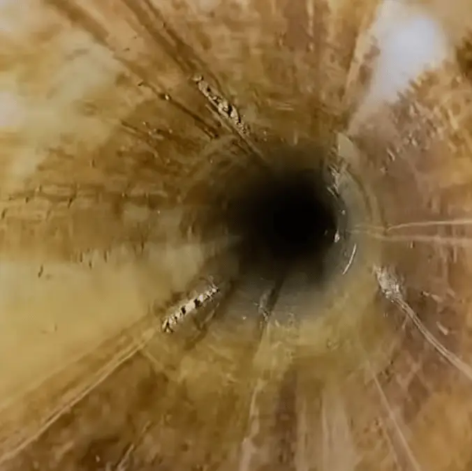 Andy Wende via YouTube