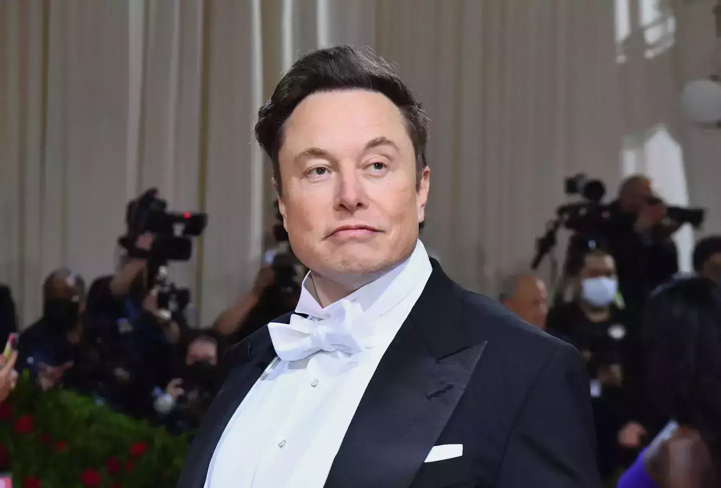 Elon Musk has told people not to donate to Wikipedia (ANGELA WEISS/Getty Images)