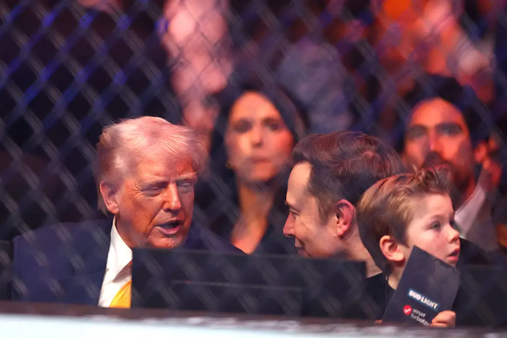 Musk apparently thinks that Trump is an 'idiot' according to one former White House official (Megan Briggs/Getty Images)