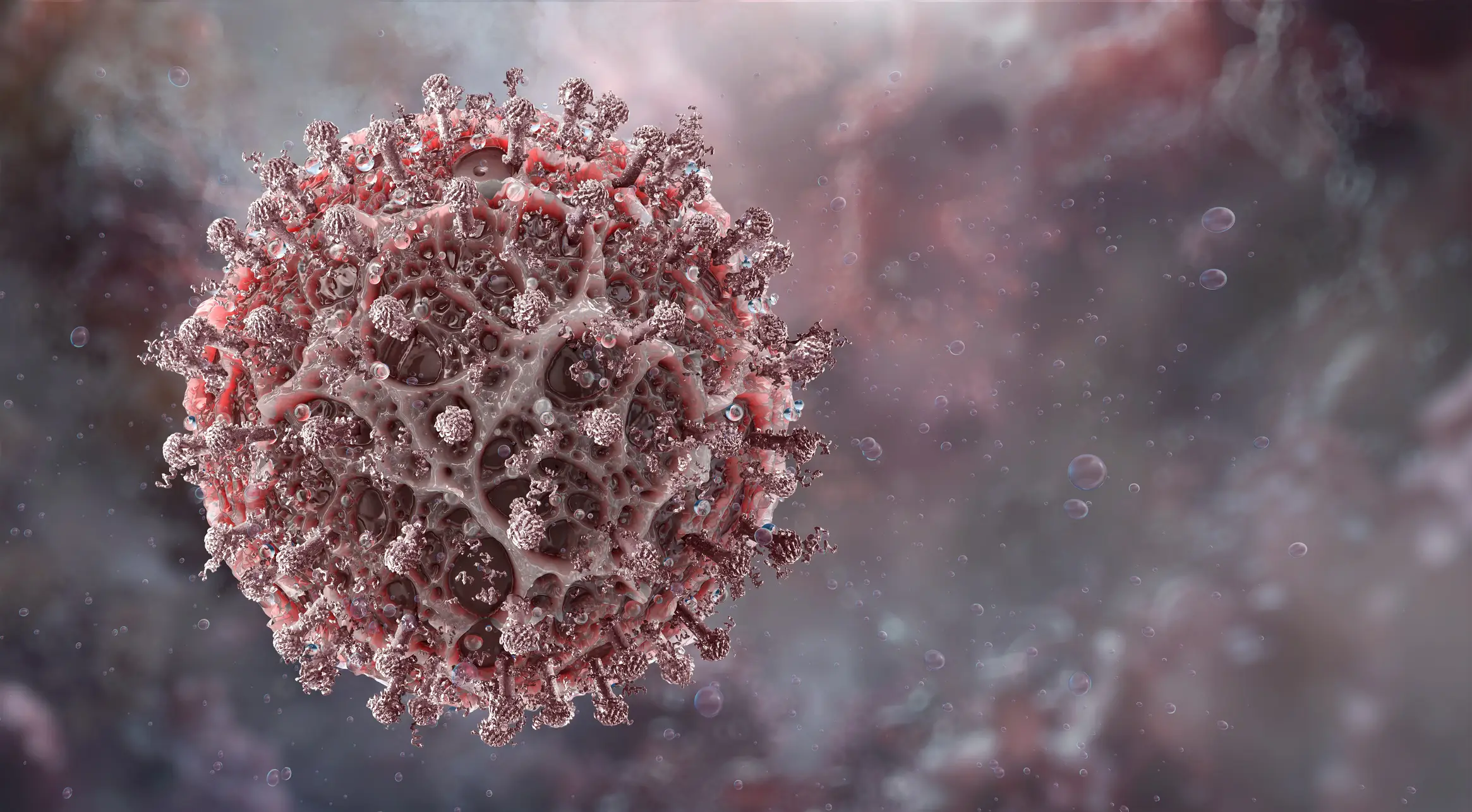 Scientists have discovered a new form of alphacoronavirus which has provided further illuminating details (Getty Stock)