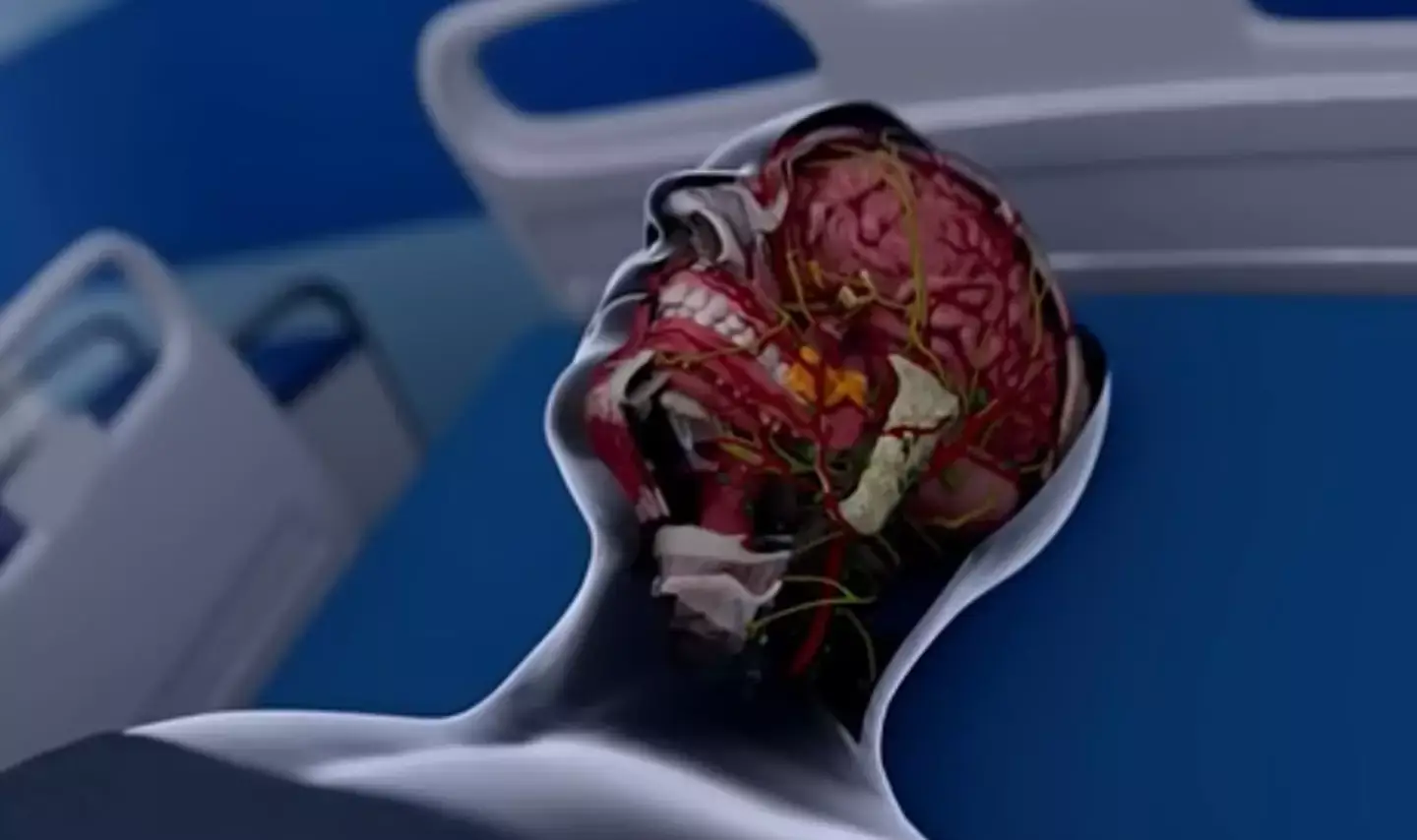 A simulation has outlined what happens to the brain after death (YouTube/hashemalghailiofficialchannel)