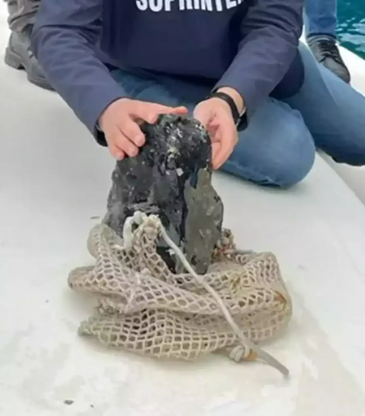 Superintendency of the Metropolitan Area of Naples