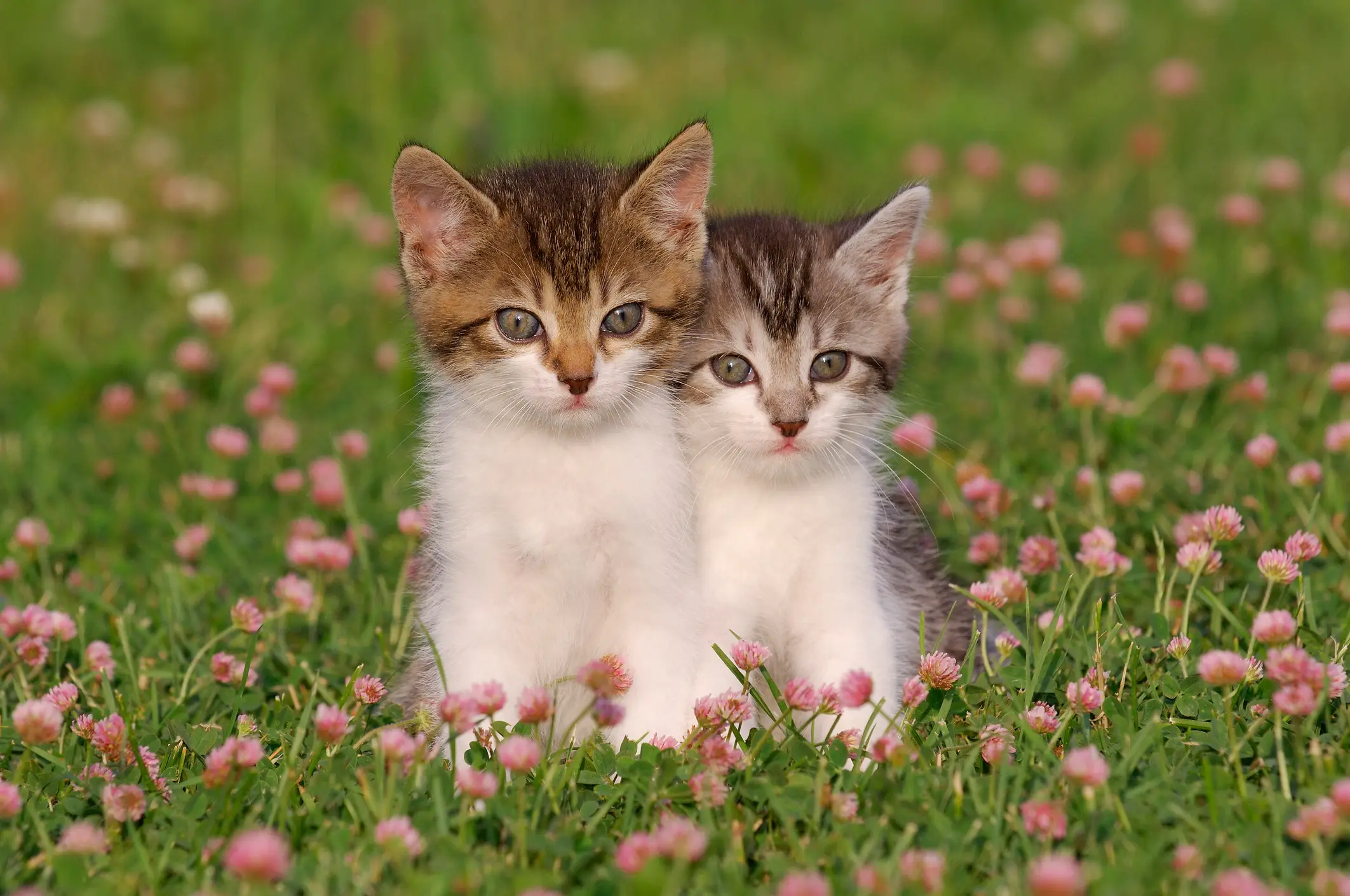 Martin Ruegner / Getty