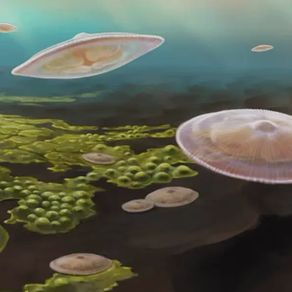 New evidence suggests complex life could have begun 1,500,000,000 years before we originally thought