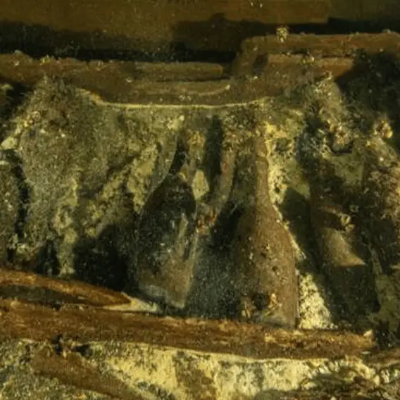 Divers discover over 100 bottles of champagne in 19th century Baltic Sea shipwreck