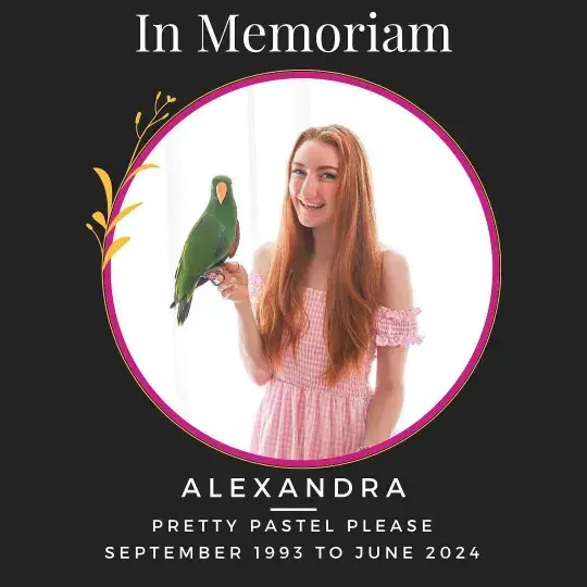 Instagram/prettypastelplease